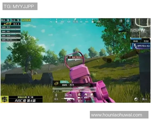 和平精英热议：TES团队协作引发的争议与反思