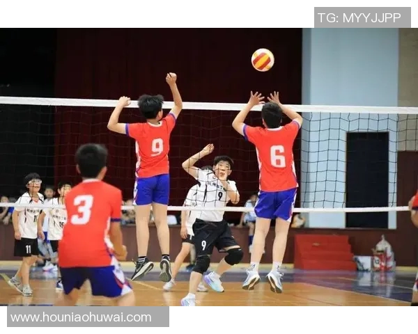 杭州排球队配合默契创新高成就引领全国排球新风潮