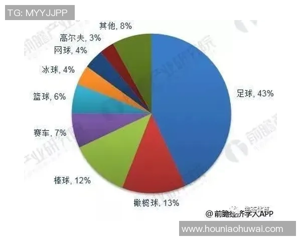 武汉足球队实力分析与未来发展展望探讨
