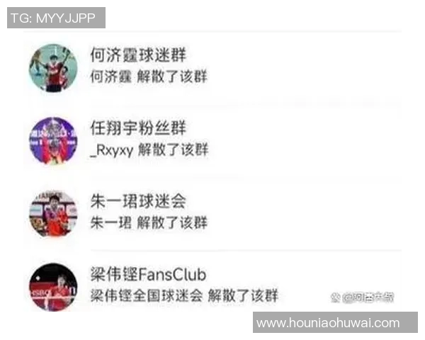 上海羽毛球队个人能力排名创新高引发关注与讨论