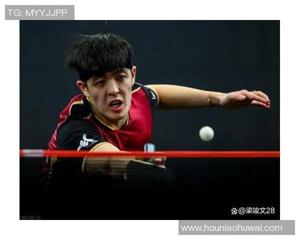 对话杨磊：回顾乒乓球生涯的辉煌与挑战之路
