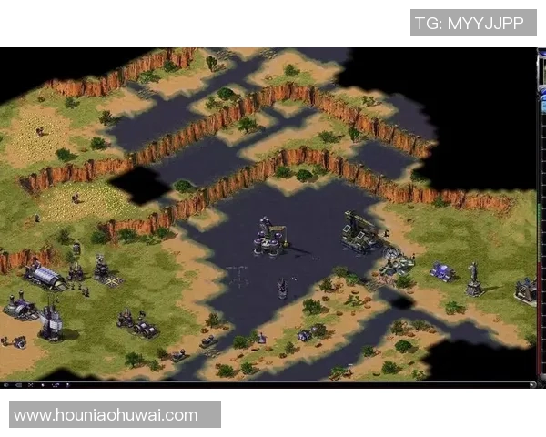 广州排球队阵地战打法深度解析与战术优势剖析