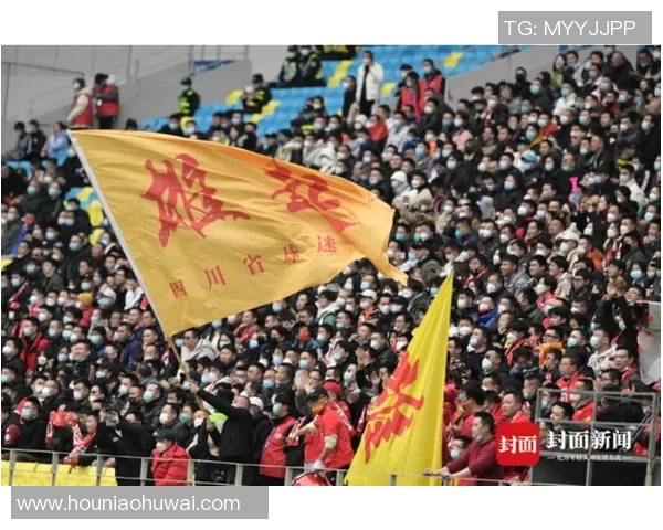 成都乒乓球队意识争议引发热议球迷与专家各执己见探讨未来发展