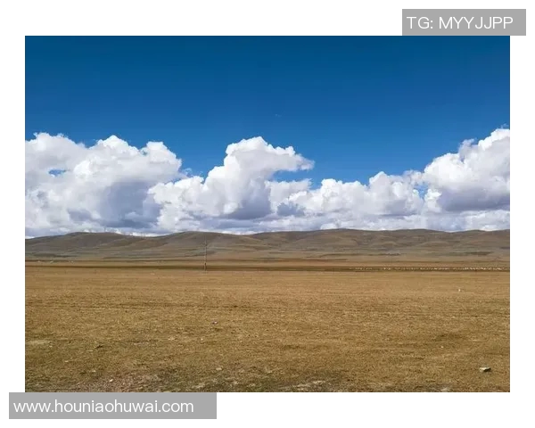 探索阿拉巴的魅力与文化遗产，揭开这片土地的神秘面纱与历史故事