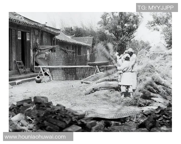 长崎航海与名古屋的文化交融与经济发展探讨