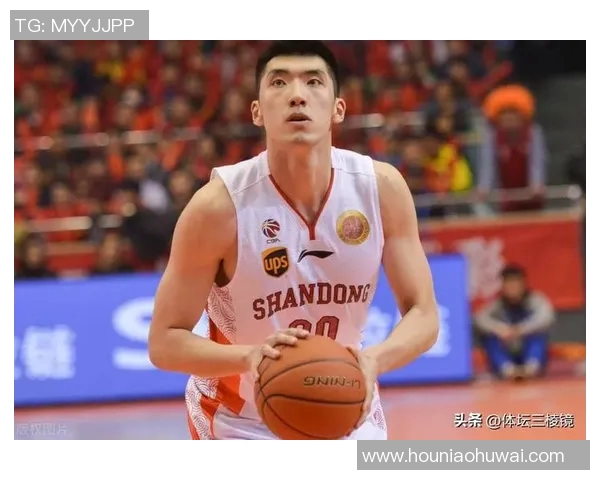 陶汉林：从篮球场上的拼搏者到社会公益的践行者之路