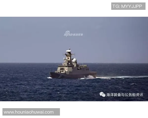 阿尔及利亚与尼日利亚激战正酣比分揭晓精彩瞬间回顾