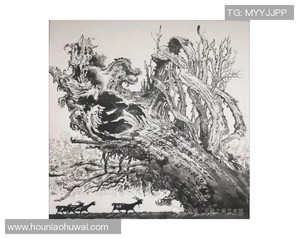 史鸿飞的传奇人生与奋斗历程揭示了时代变迁下的坚韧与希望