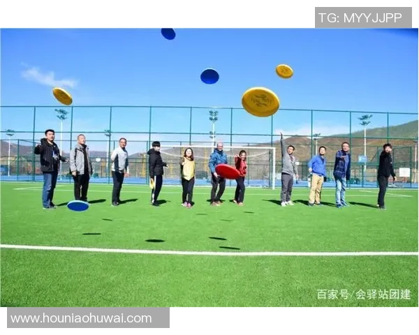 杭州飞盘队在极限运动嘉年华中的意识表现分析与点评MBA